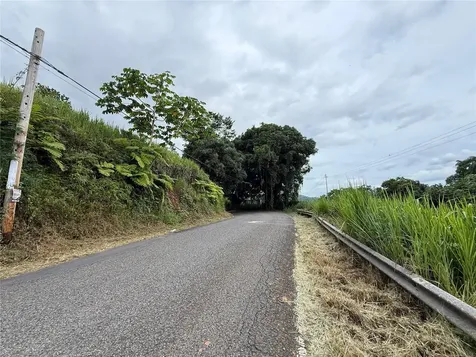 SR-108 Km 11.3 Camino Aldebol Sector Pablo Diaz Barrio Leguizamo Mayaguez PR 00680