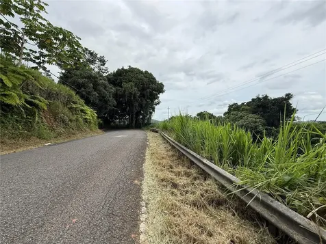 SR-108 Km 11.3 Camino Aldebol Sector Pablo Diaz Barrio Leguizamo Mayaguez PR 00680