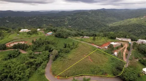 SR-108 Km 11.3 Camino Aldebol Sector Pablo Diaz Barrio Leguizamo Mayaguez PR 00680