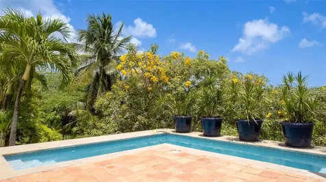 20 Calle Ramos Rivera Vieques PR 00765