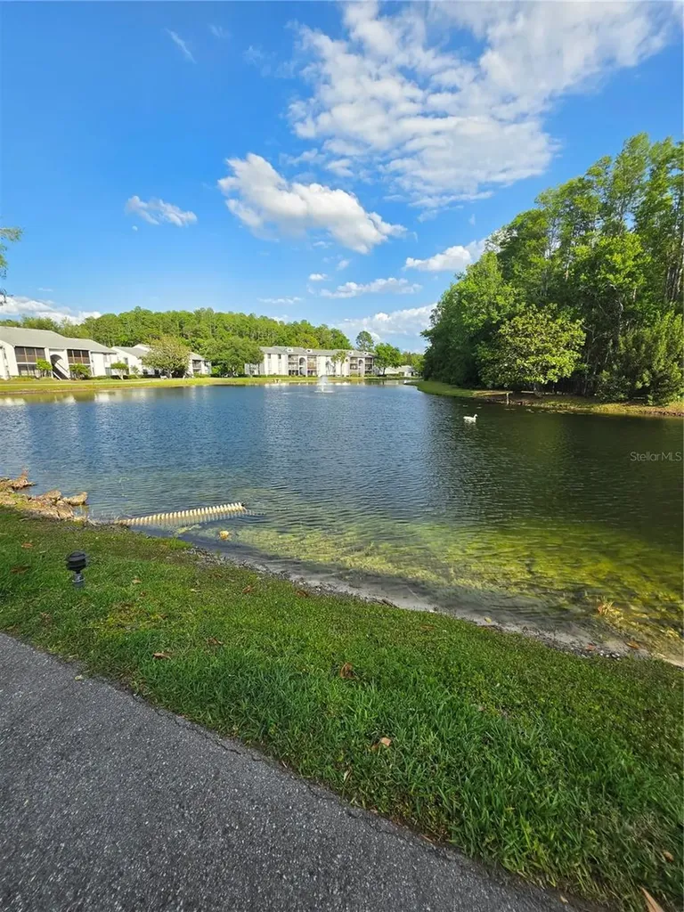 1281 Pine Ridge Circle E Tarpon Springs FL 34688