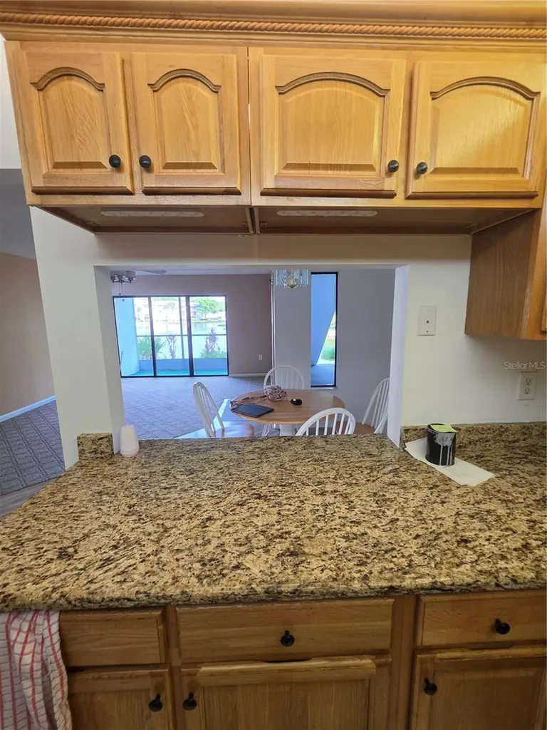1281 Pine Ridge Circle E Tarpon Springs FL 34688