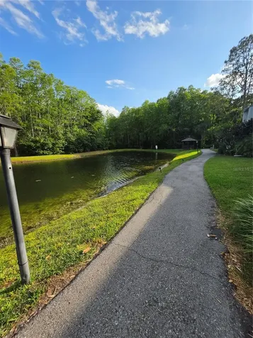 1281 Pine Ridge Circle E Tarpon Springs FL 34688