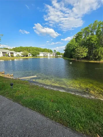 1281 Pine Ridge Circle E Tarpon Springs FL 34688