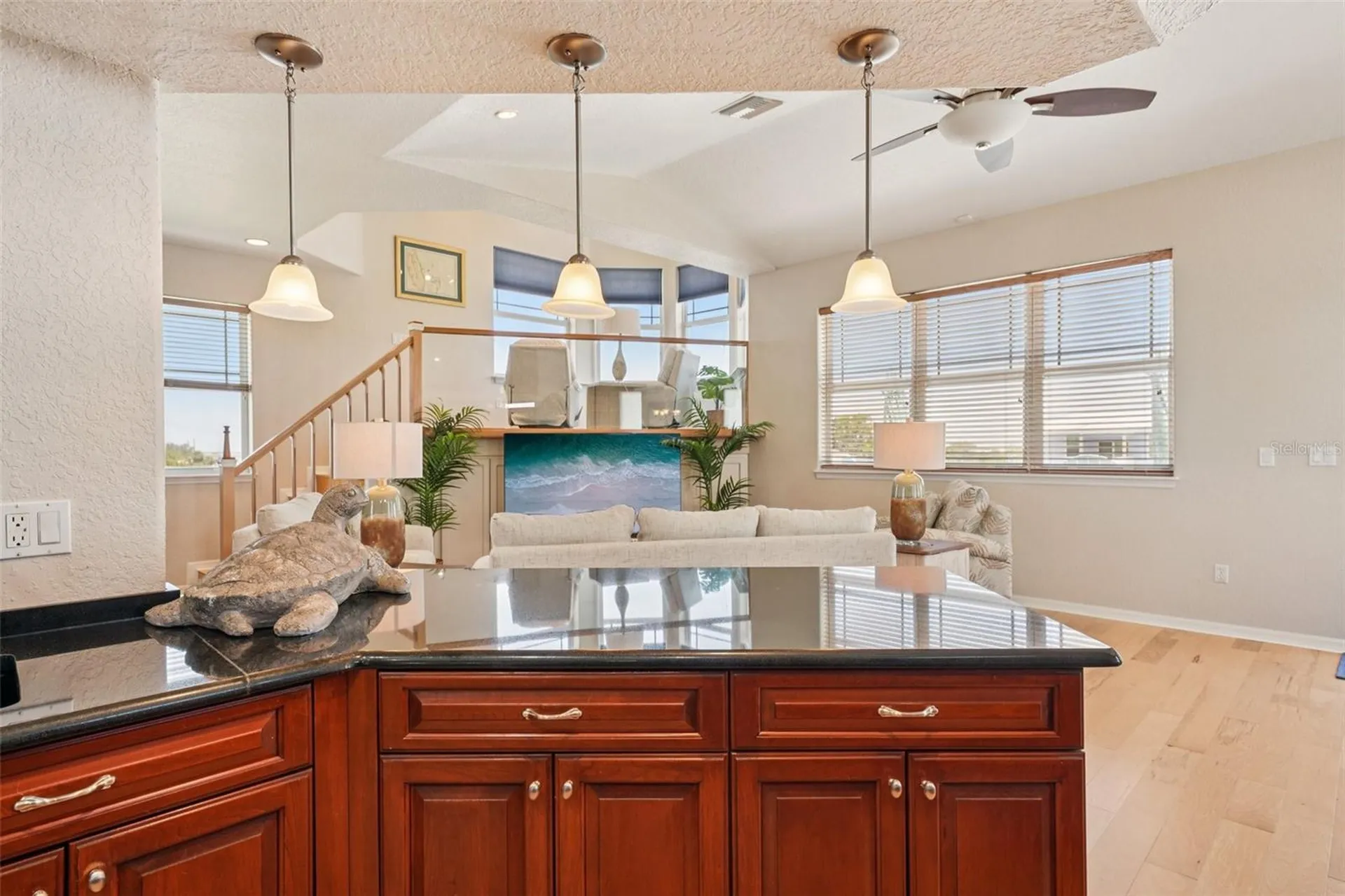 6543 Louise Court Hudson FL 34667