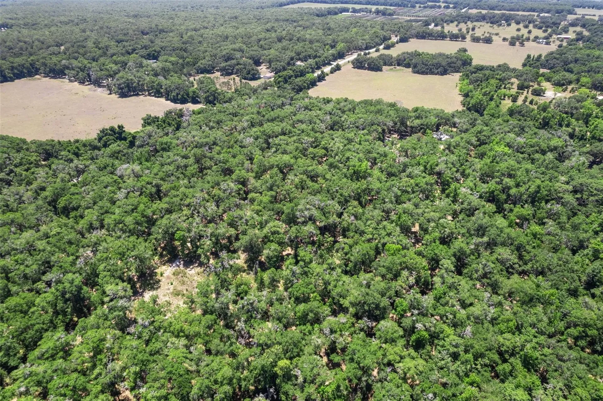 11426 S Pleasant Grove Road Floral City FL 34436