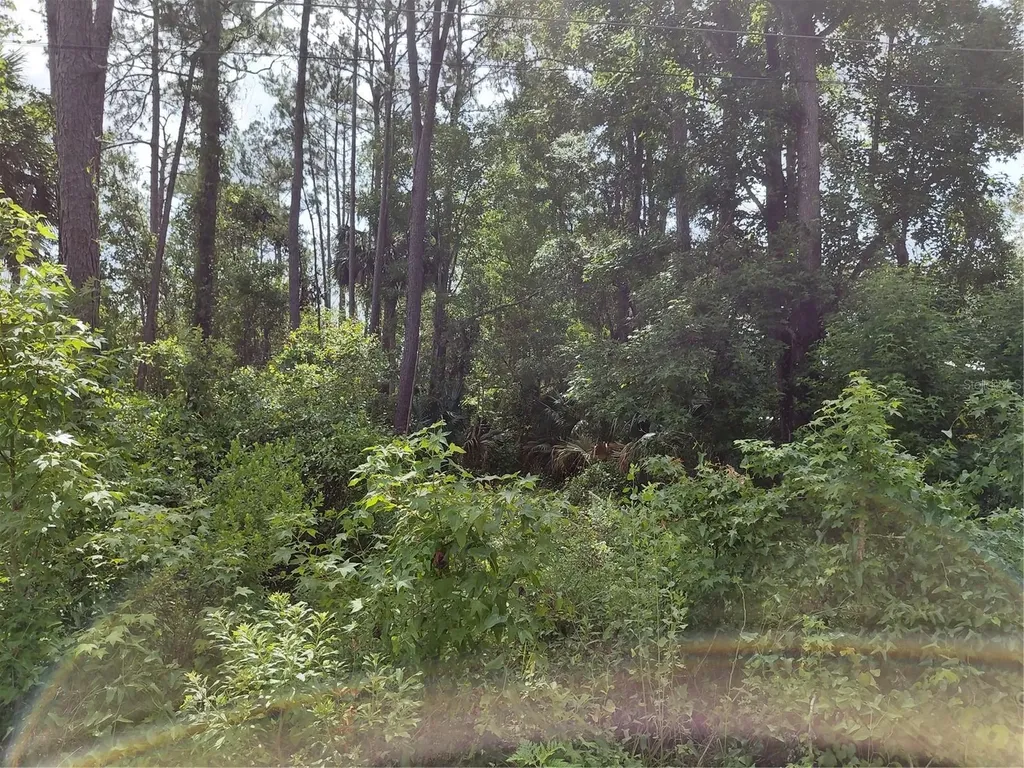 James Street Astor FL 32102