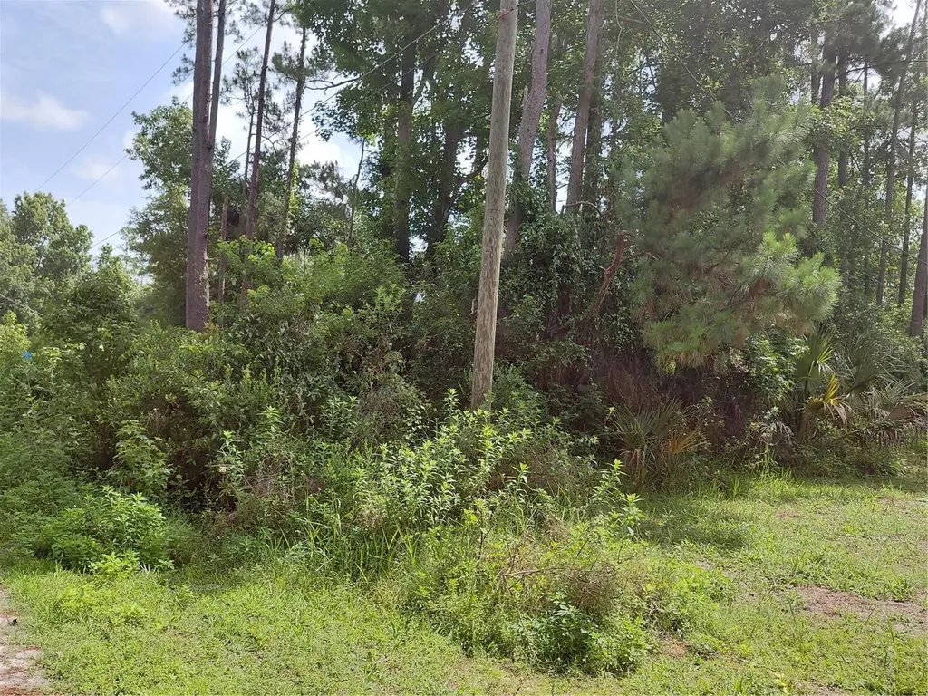 James Street Astor FL 32102