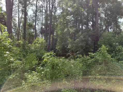 James Street Astor FL 32102