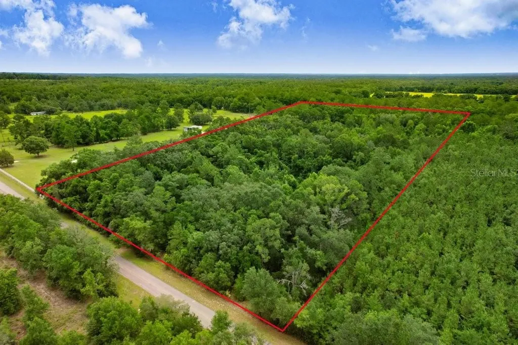 SW Bethlehem Avenue Fort White FL 32038