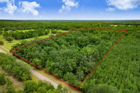 SW Bethlehem Avenue Fort White FL 32038