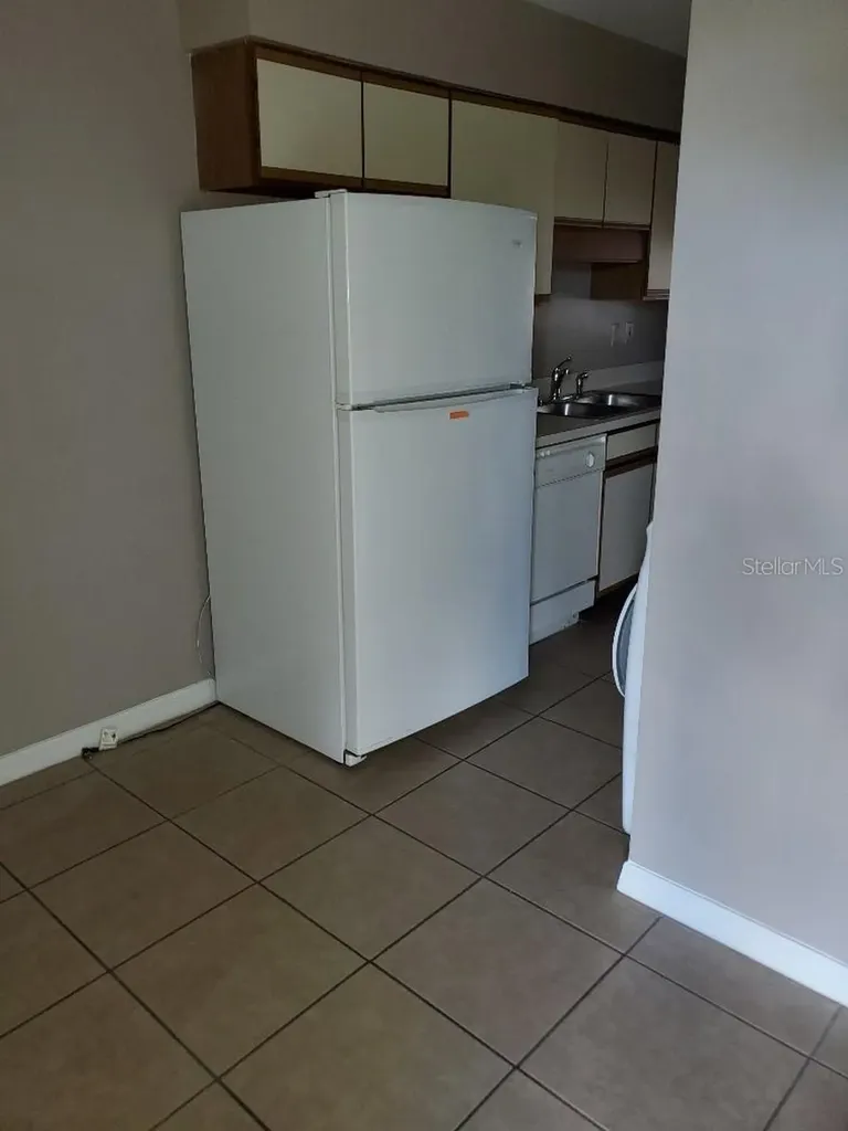 2132 Street Marteen Court Kissimmee FL 34741