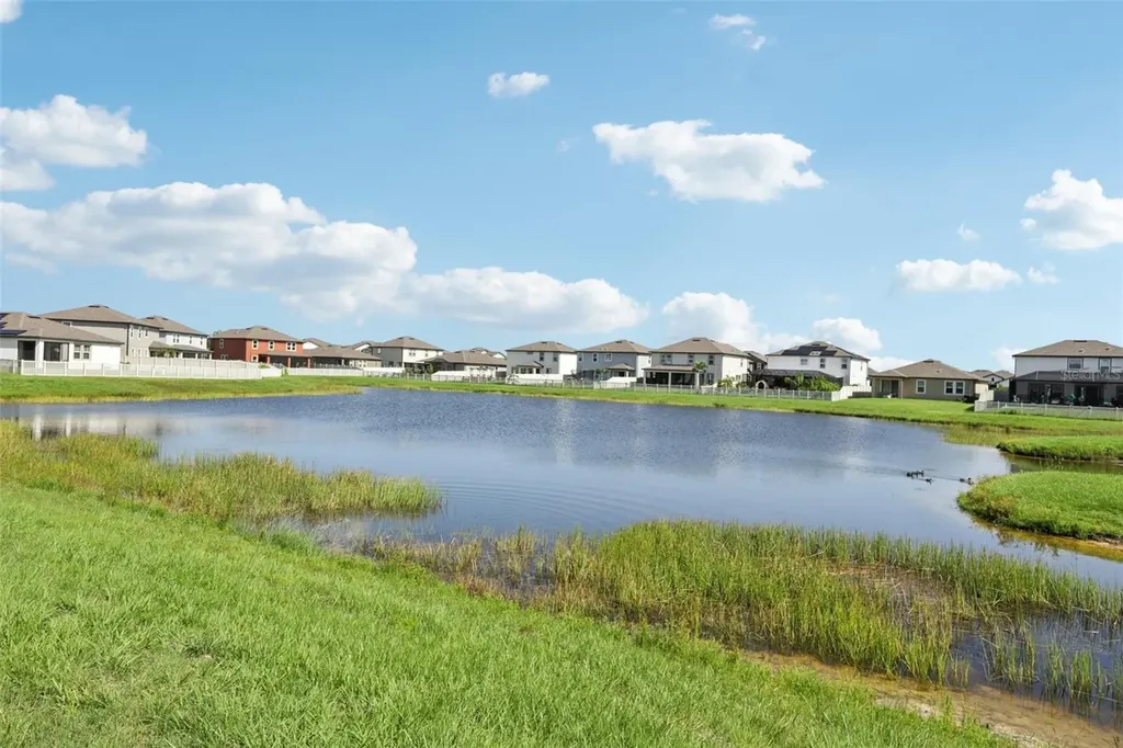 13515 Palmera Vista Drive Riverview FL 33579