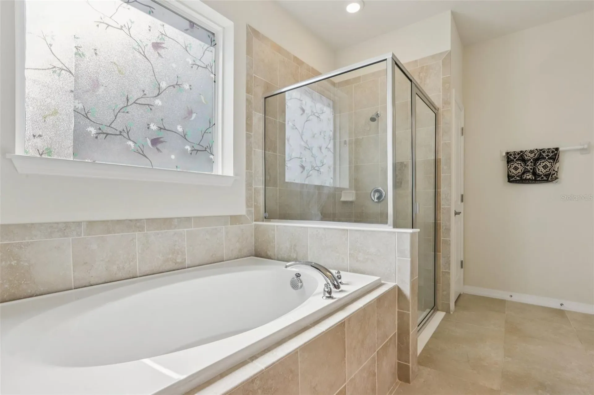 13515 Palmera Vista Drive Riverview FL 33579
