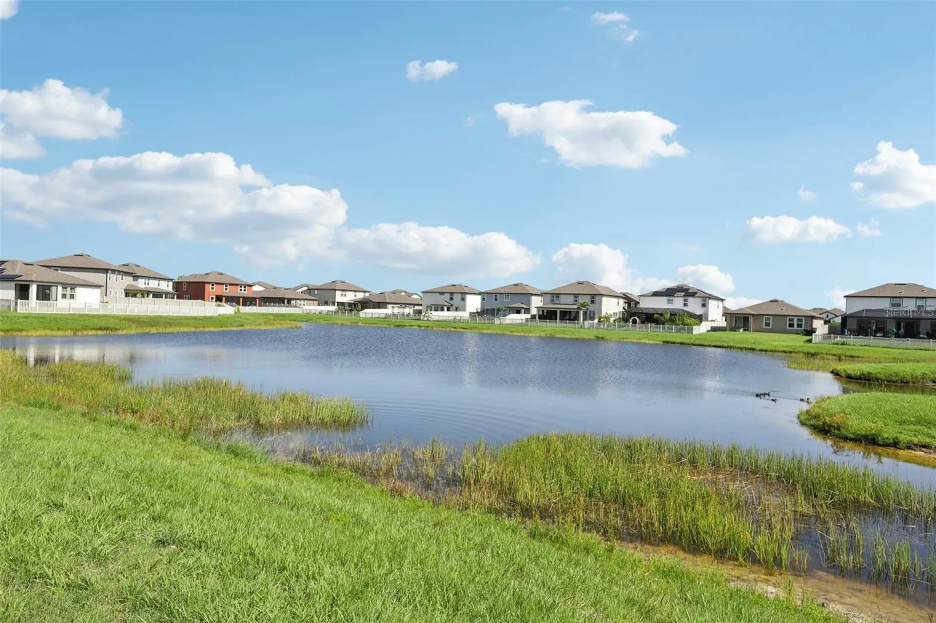 13515 Palmera Vista Drive Riverview FL 33579