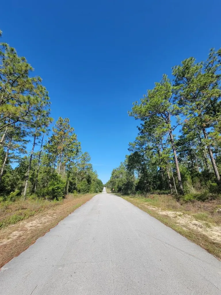 SW Edgewater Dunnellon FL 34431