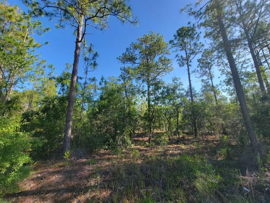 SW Edgewater Dunnellon FL 34431