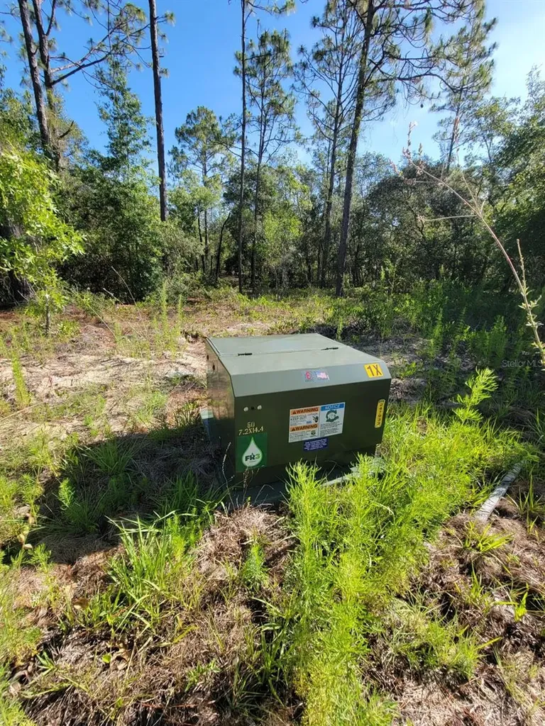 SW Edgewater Dunnellon FL 34431