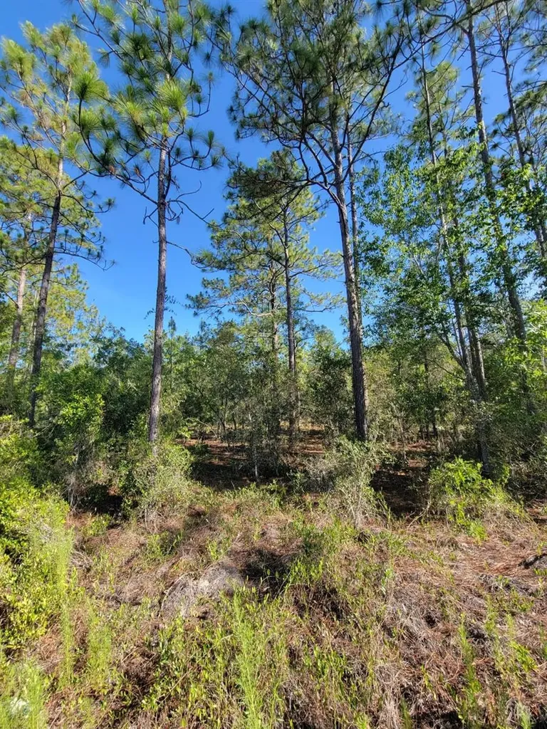 SW Edgewater Dunnellon FL 34431