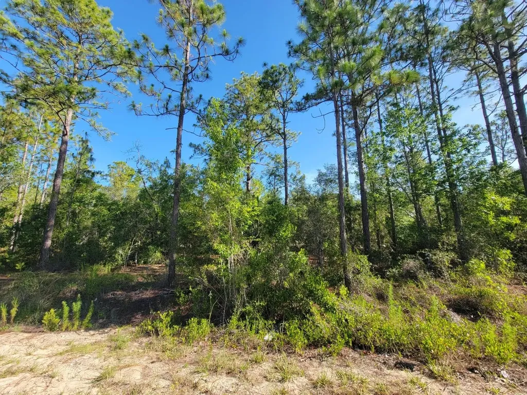 SW Edgewater Dunnellon FL 34431