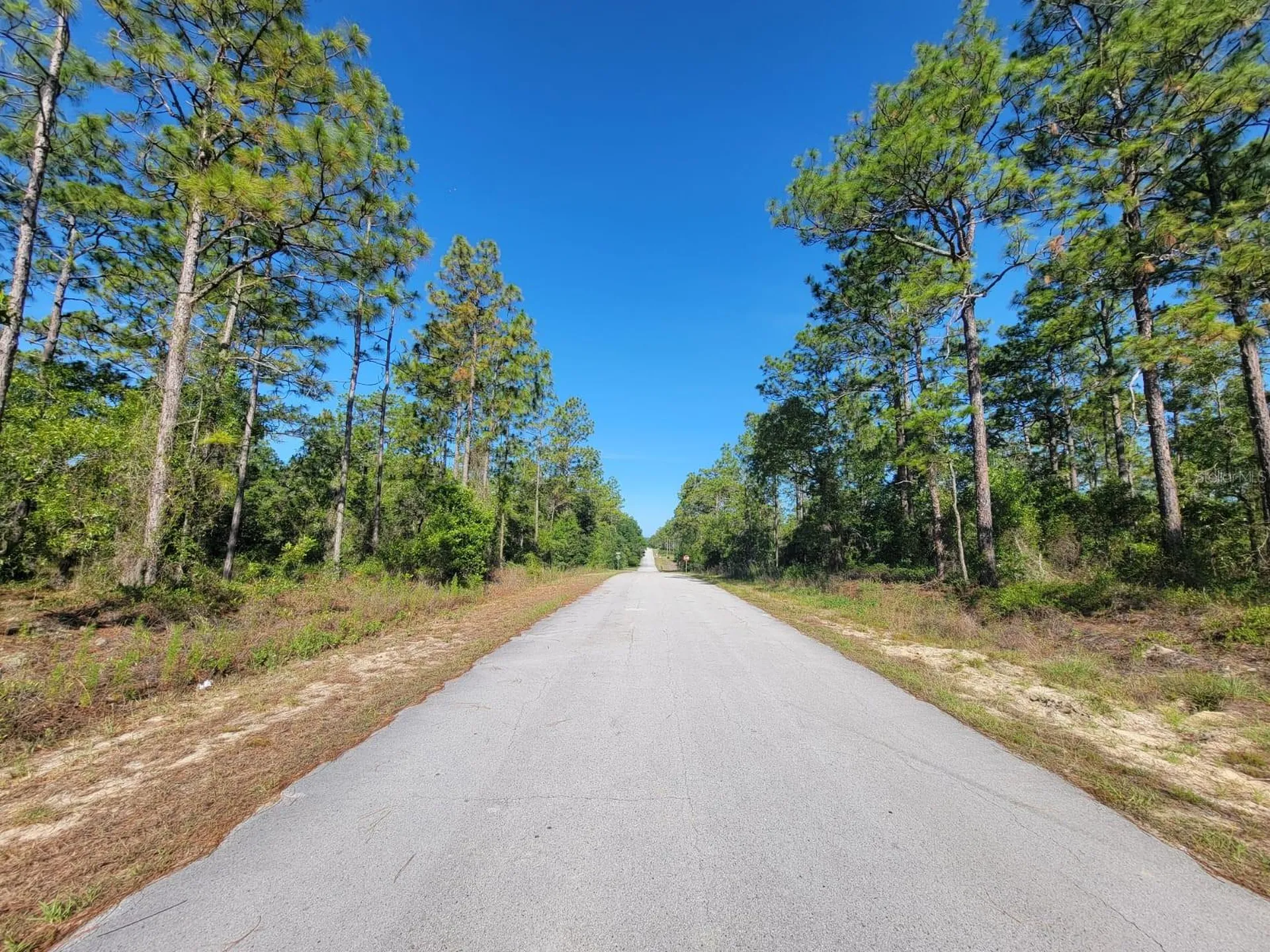 SW Edgewater Dunnellon FL 34431