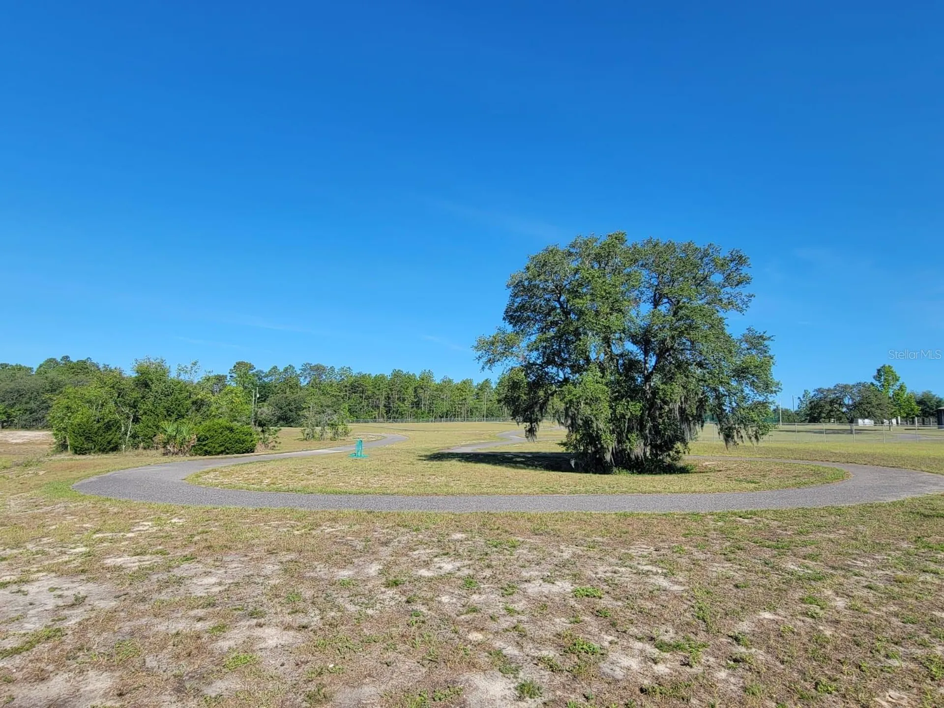 SW Edgewater Dunnellon FL 34431