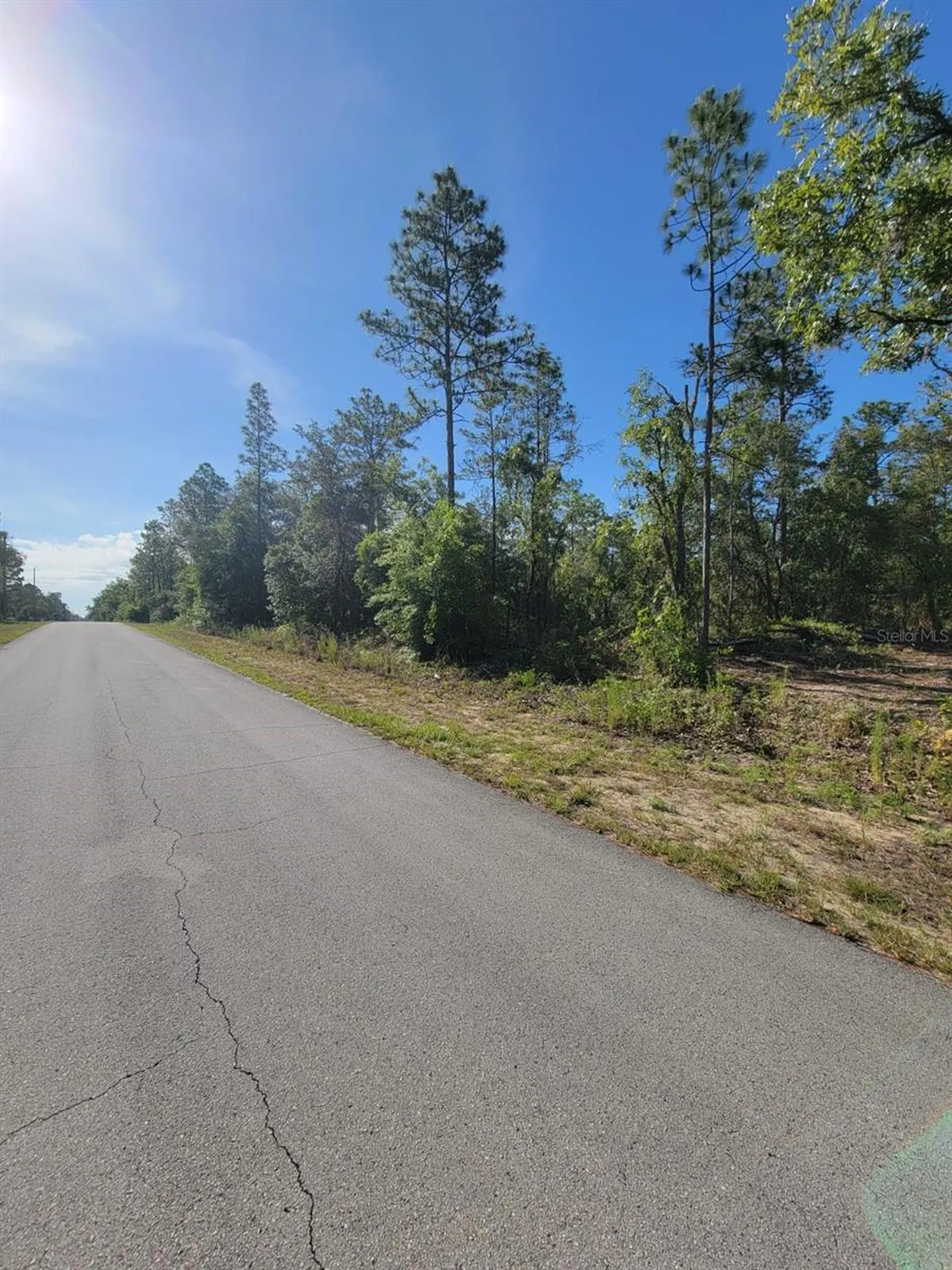 SW Edgewater Dunnellon FL 34431