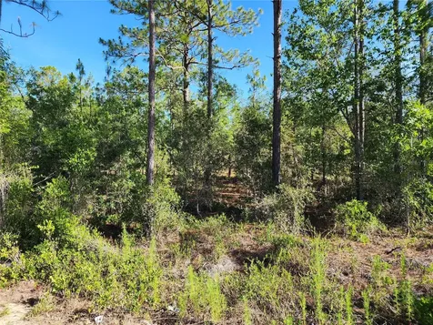 SW Edgewater Dunnellon FL 34431