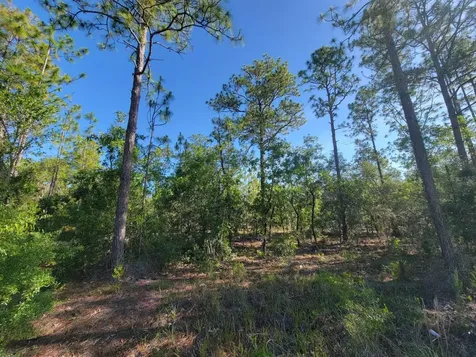 SW Edgewater Dunnellon FL 34431