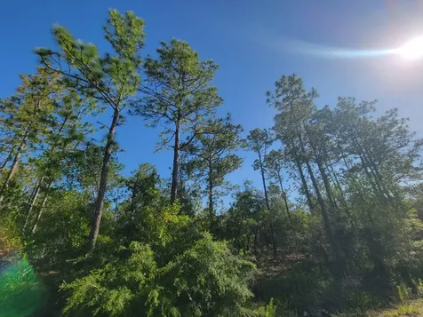 SW Edgewater Dunnellon FL 34431