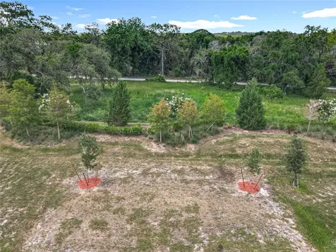 6946 Perch Hammock Loop Groveland FL 34736