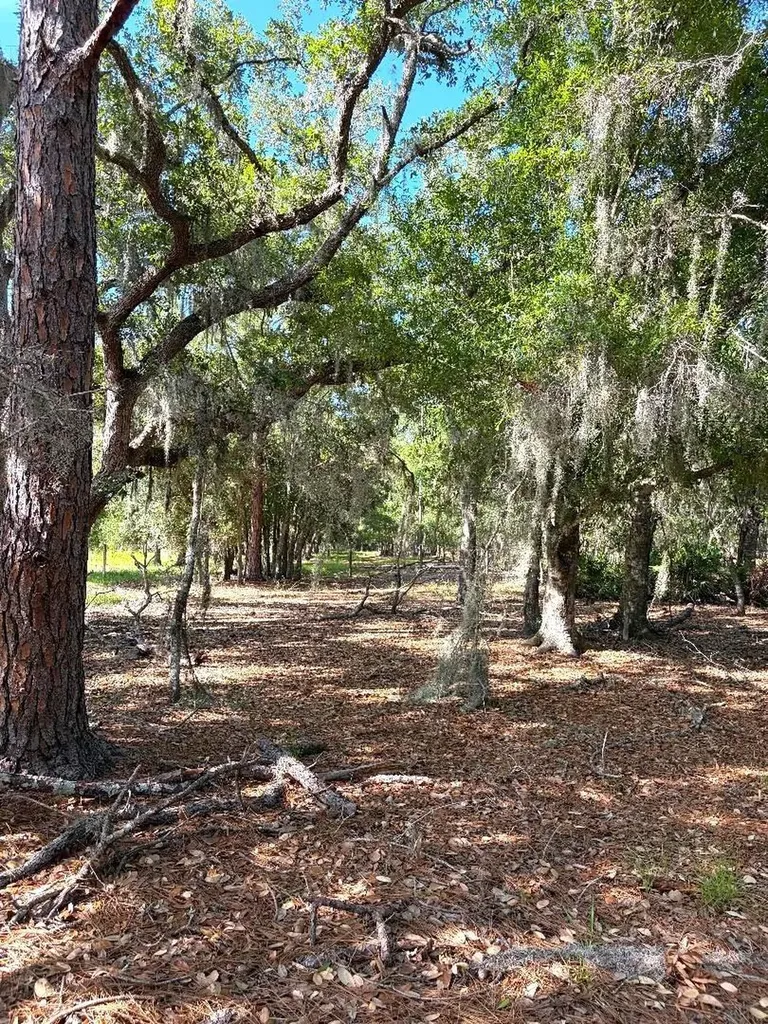 3045 Logue Road Myakka City FL 34251