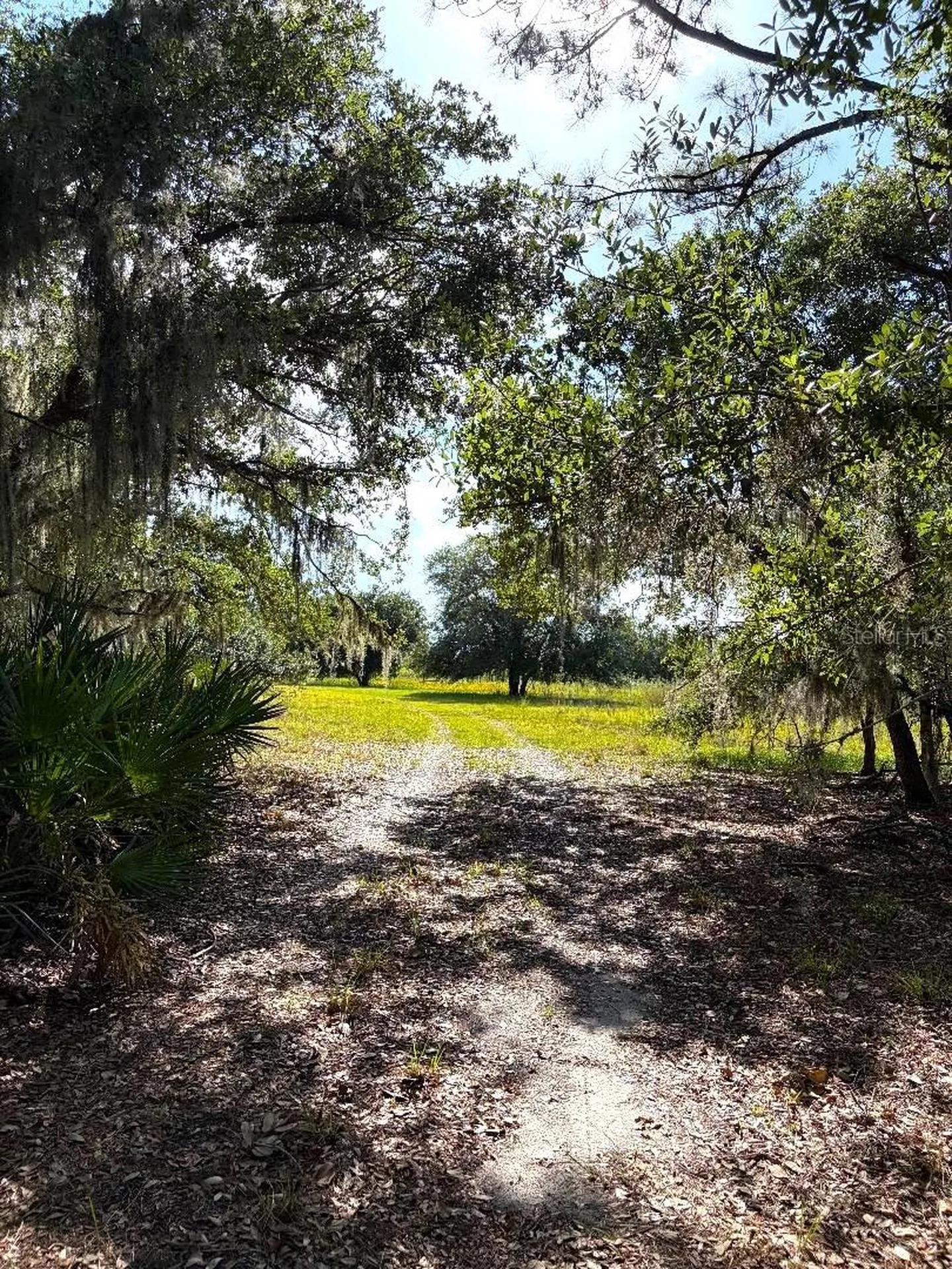3045 Logue Road Myakka City FL 34251