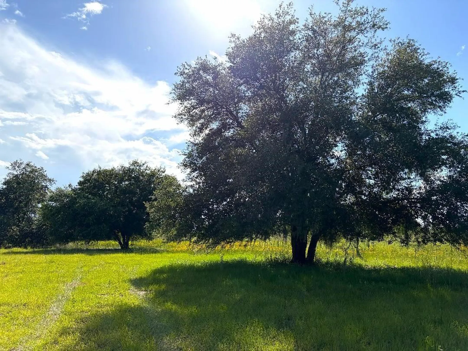 3045 Logue Road Myakka City FL 34251