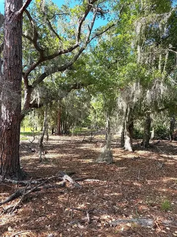3045 Logue Road Myakka City FL 34251
