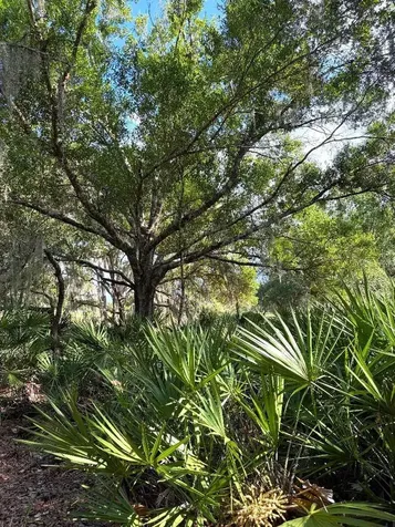 3045 Logue Road Myakka City FL 34251