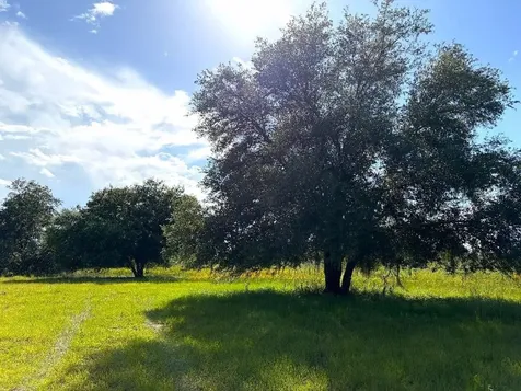 3045 Logue Road Myakka City FL 34251