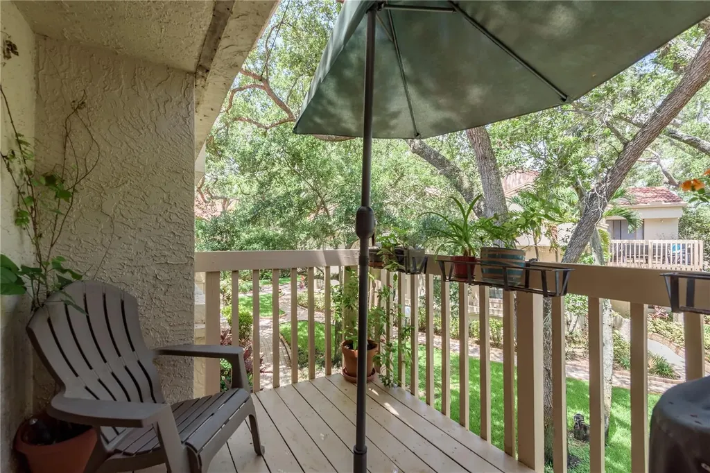 247 Los Prados Drive Safety Harbor FL 34695