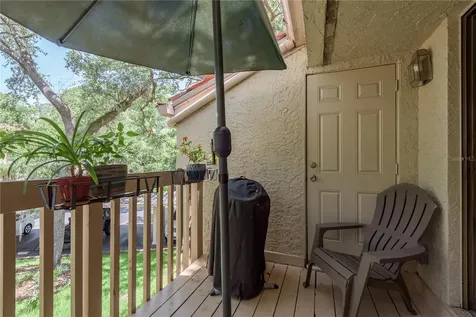 247 Los Prados Drive Safety Harbor FL 34695
