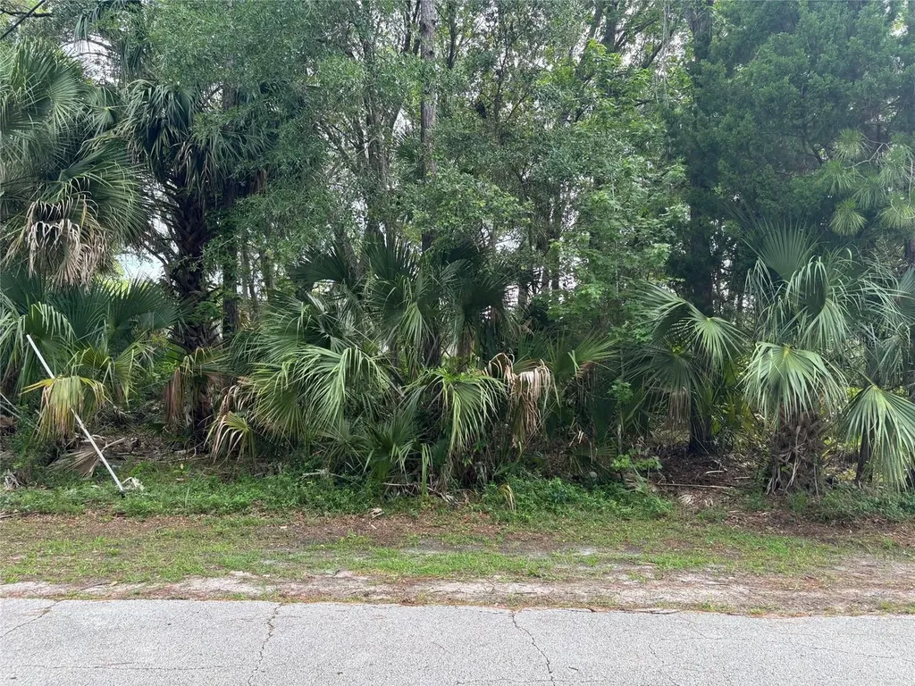 41 Poplar Drive Palm Coast FL 32164