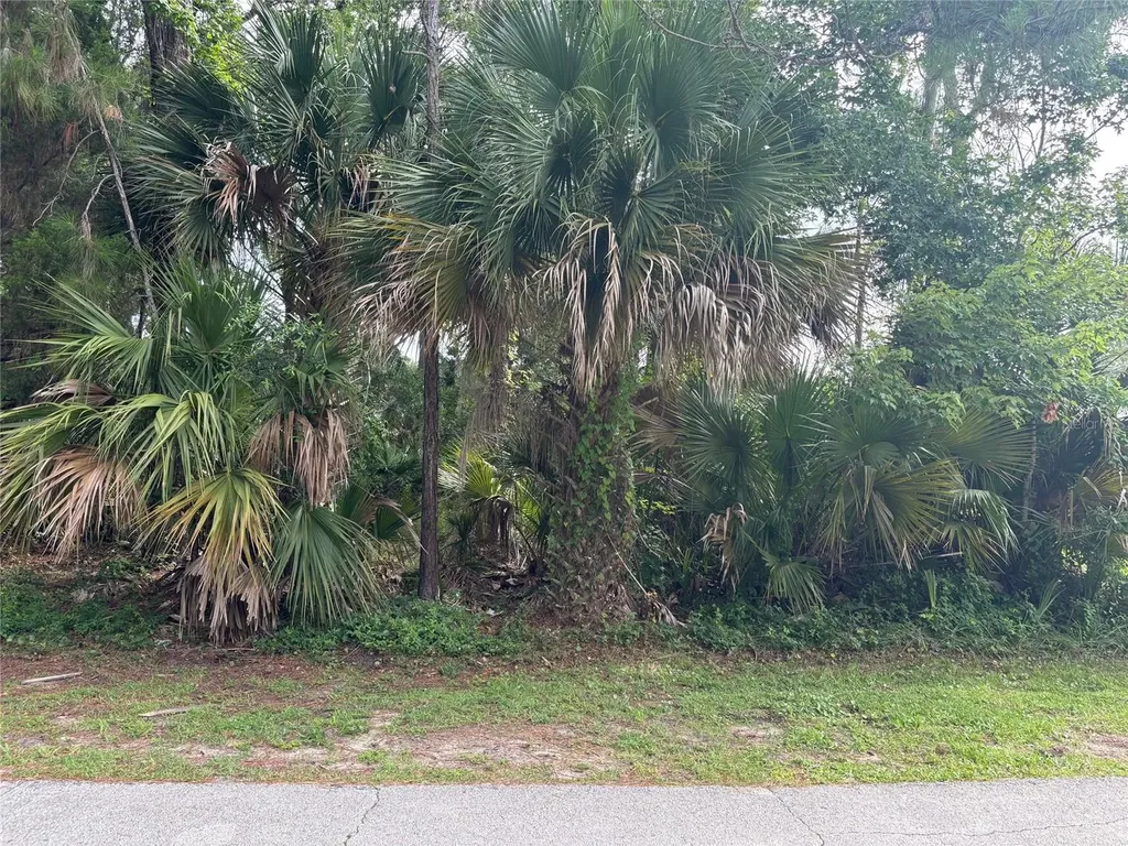 41 Poplar Drive Palm Coast FL 32164