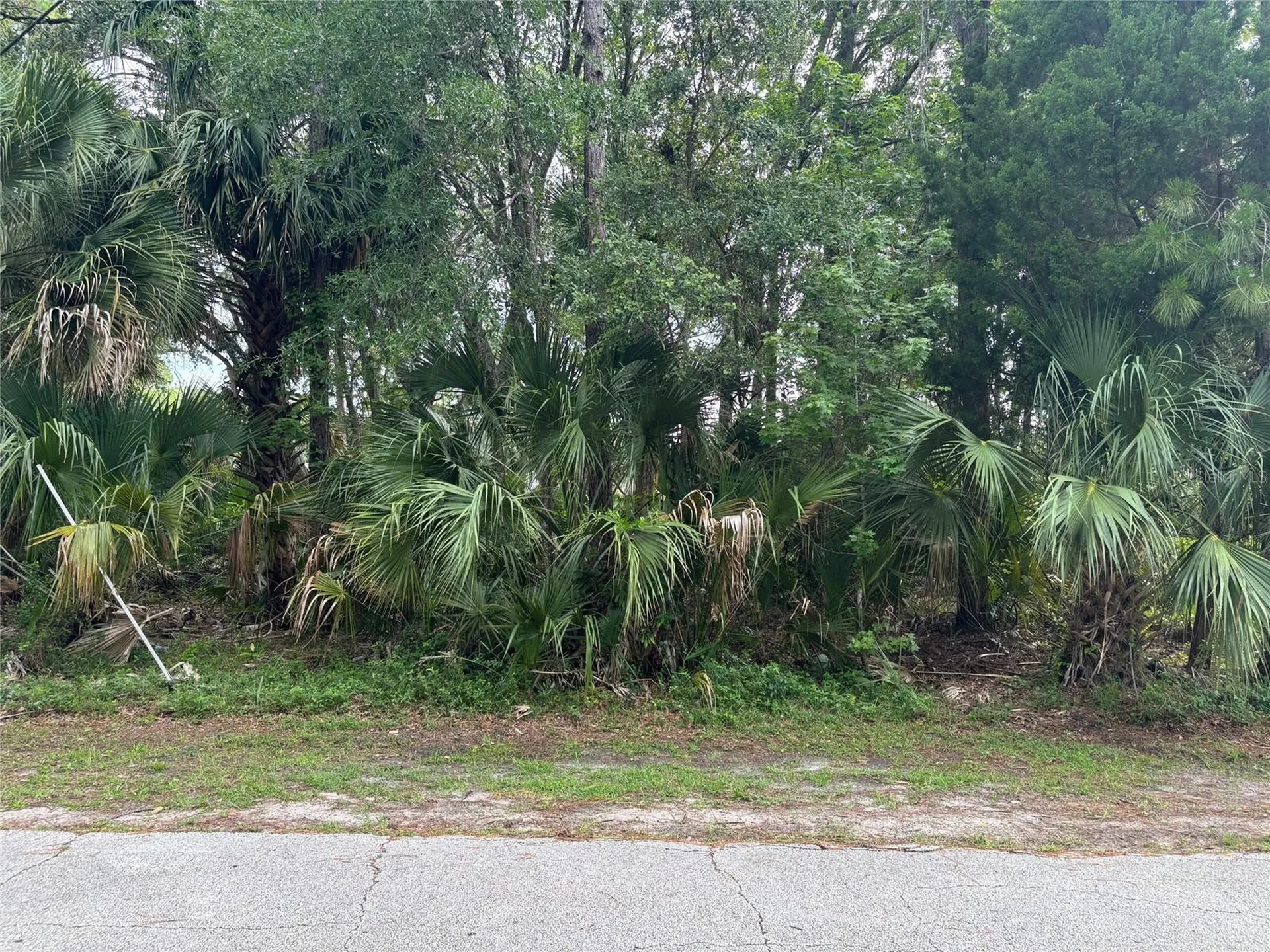 41 Poplar Drive Palm Coast FL 32164