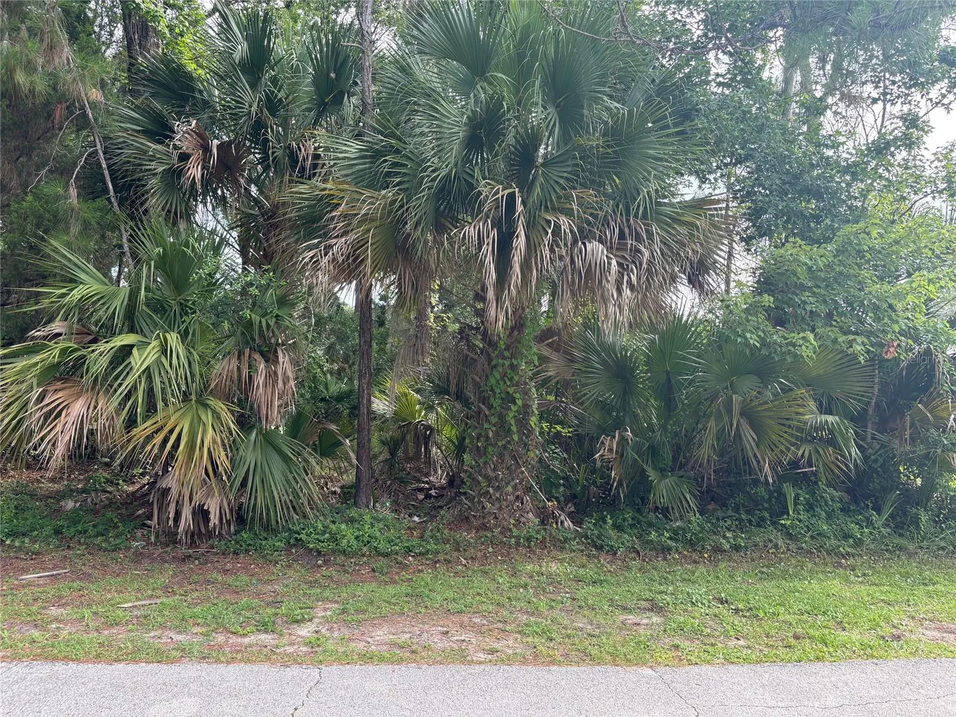 41 Poplar Drive Palm Coast FL 32164