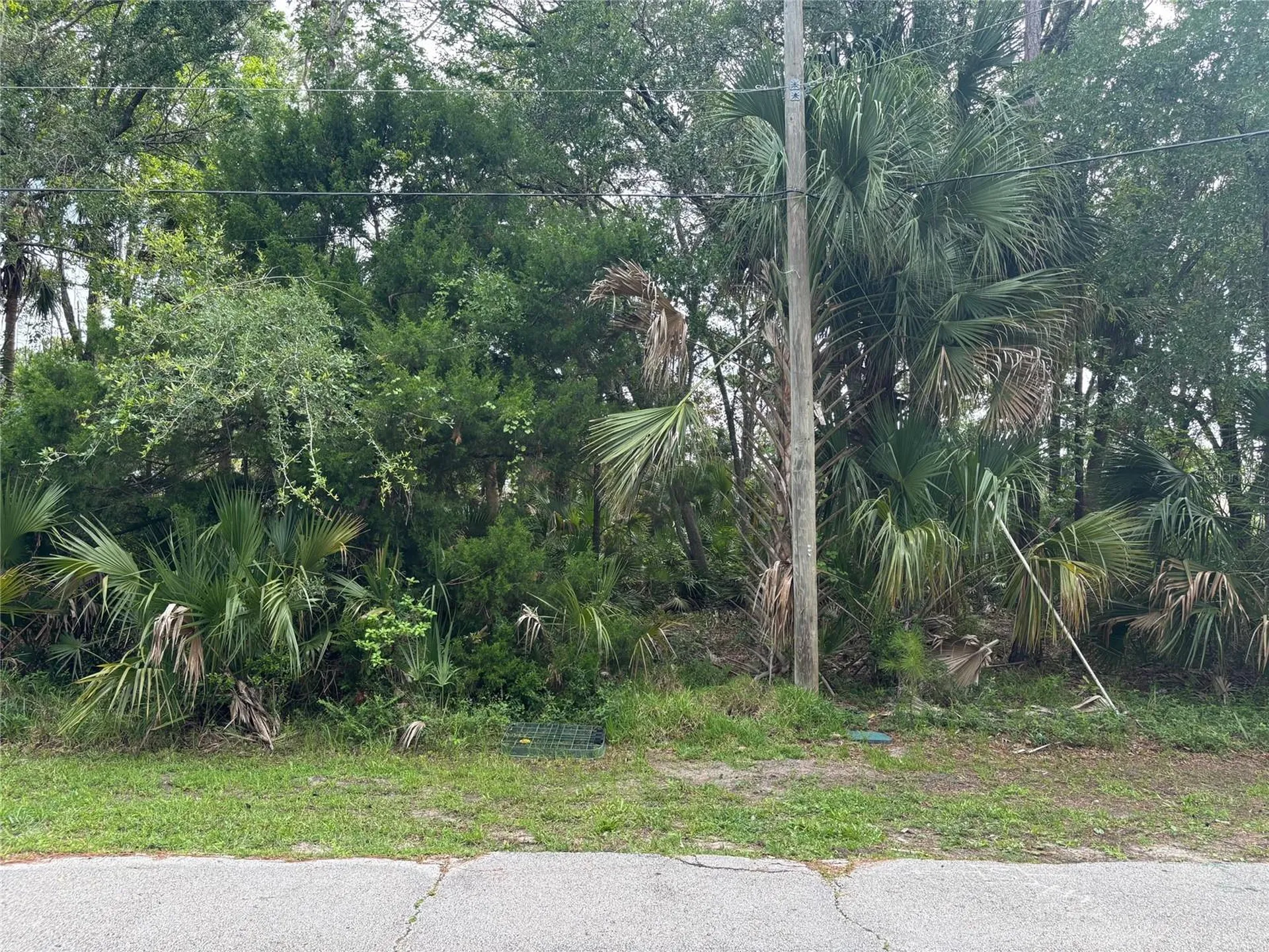39 Poplar Drive Palm Coast FL 32164