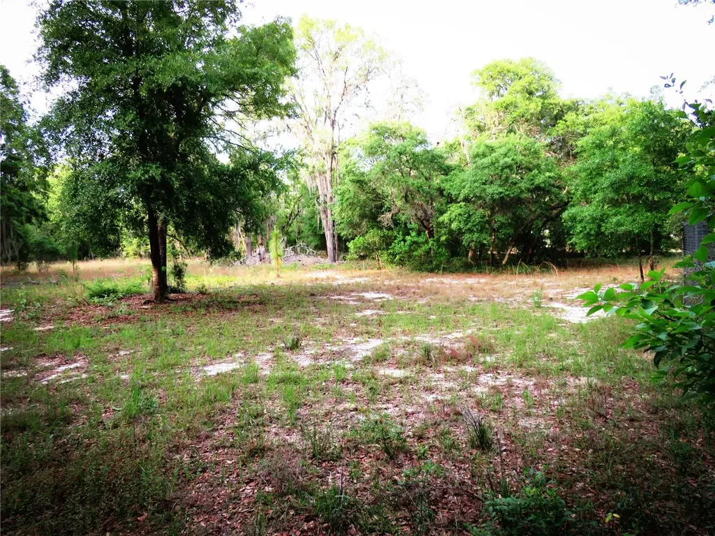 118 Millcreek Drive Melrose FL 32666