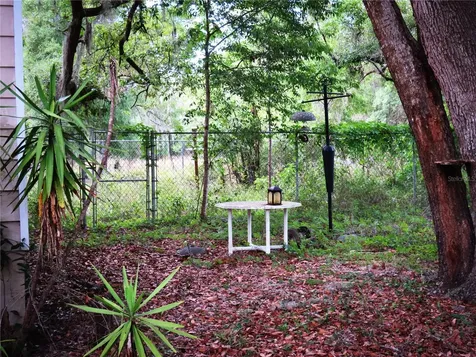 118 Millcreek Drive Melrose FL 32666