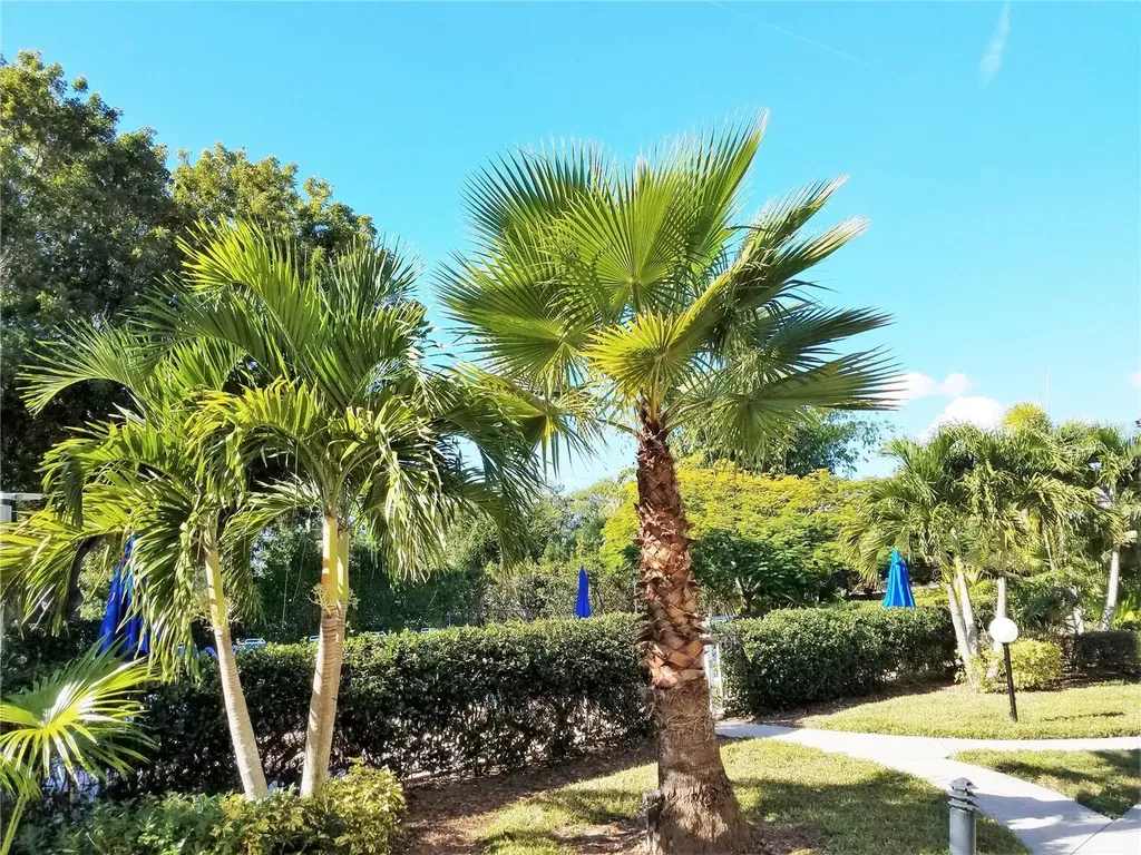 2155 Wood Street Sarasota FL 34237