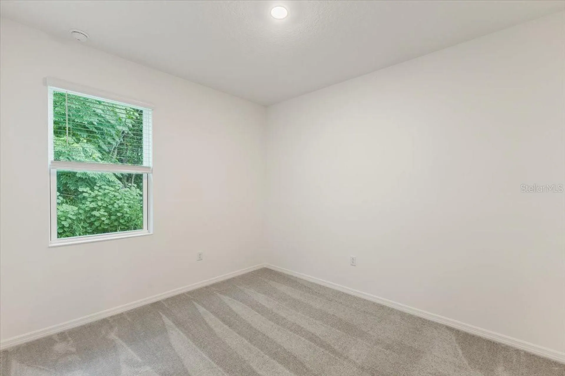 778 Lemon Avenue Fruitland Park FL 34731