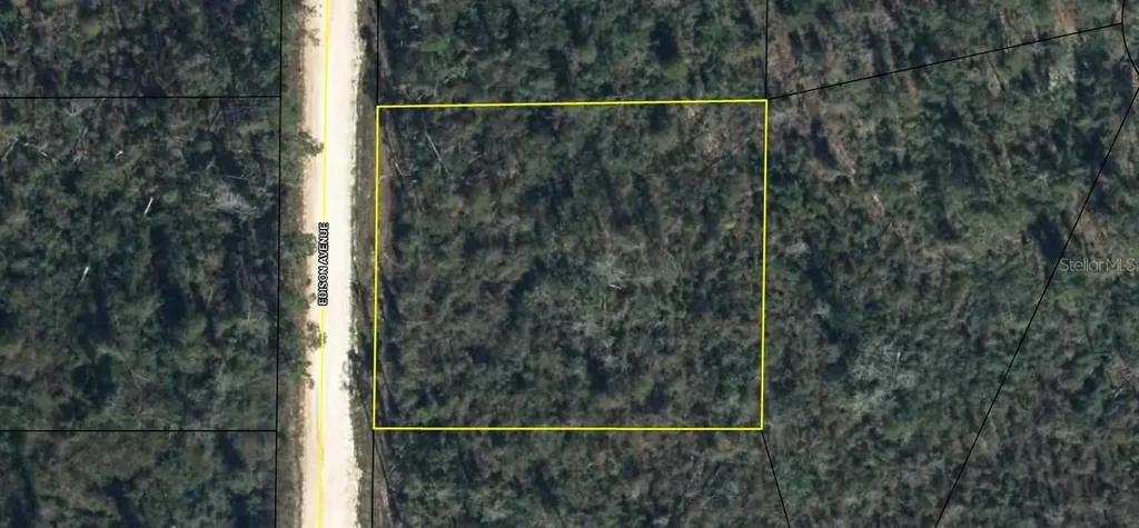 Edison Avenue Alford FL 32420