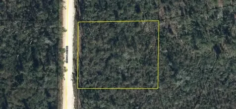 Edison Avenue Alford FL 32420